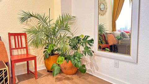 A mix of live and wannabe-live plants create a cozy, earthy, clean vibe.  And thanks to some self-watering tricks, guests don’t need to worry about caring for plants.  Just enjoy!  Full length mirror located on the main floor.