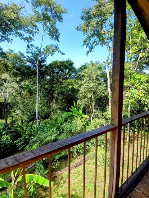 View from the deck