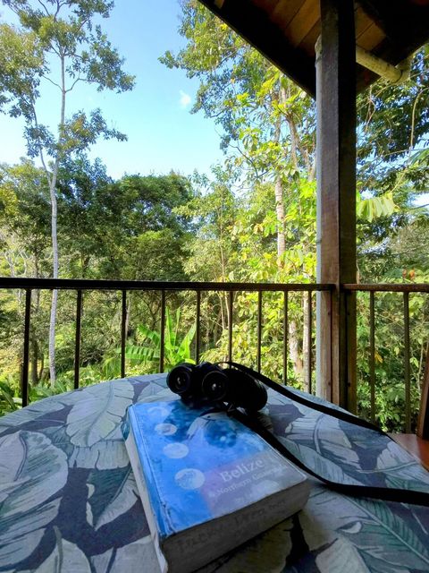 Over 90 bird species have been sited on our property.  Check out Lucky Dreamer Lodge on eBird for more info