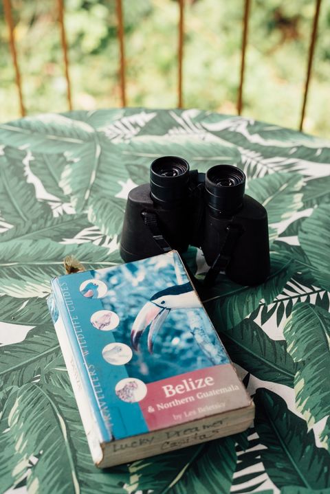 Binoculars & wildlife book provided to guests to catch site of Belize wildlife from the Banana Bungalow deck.