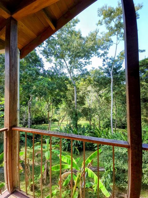 View from the deck