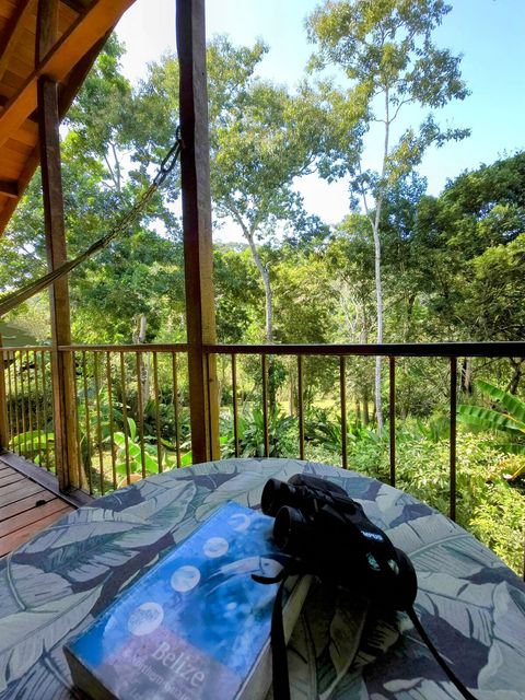 View from the deck