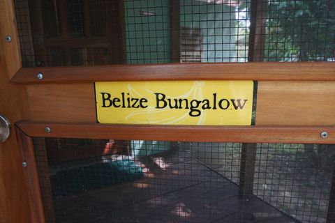 The Belize Bungalow awaits your visit!