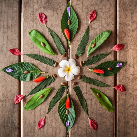 A beautiful creation by one of our previous guests (all sourced from our property)