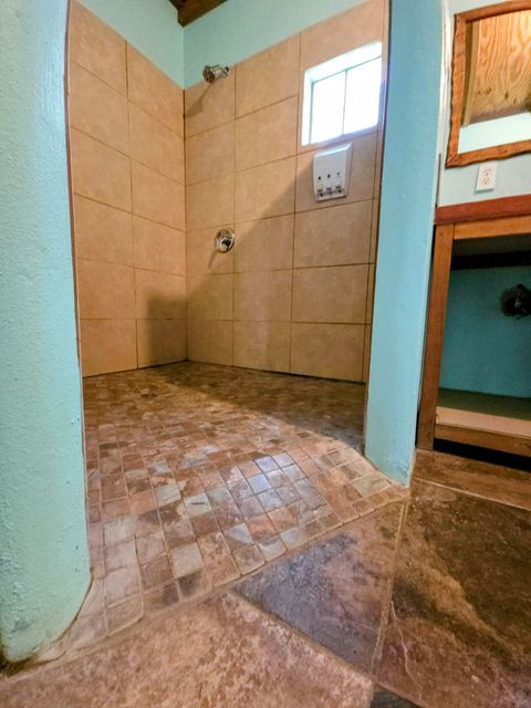 Interior of walk-in shower.  Note the shampoo/shower gel dispenser.