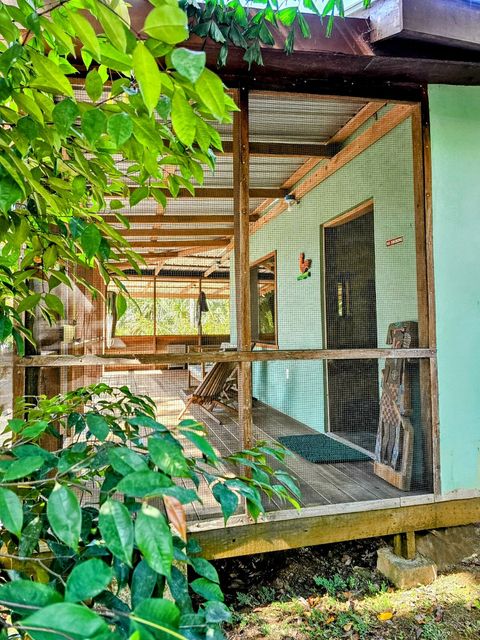 HUGE screened in deck with 4 hammocks, dining table & extra patio seating!