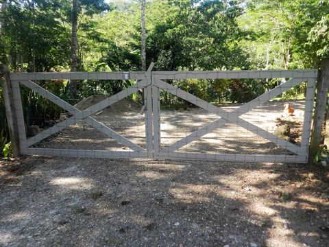 Front Gate to the property