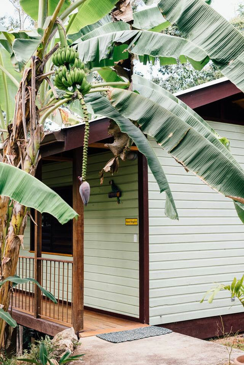 See how the Banana Bungalow got it's name?