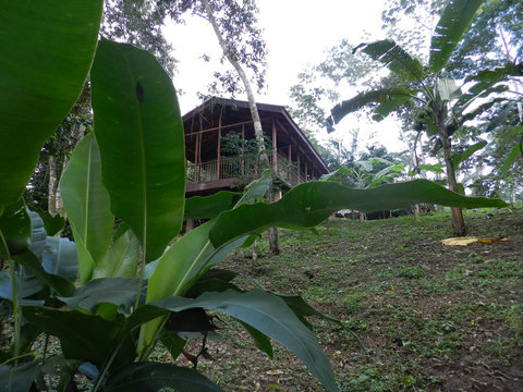 View from the river.