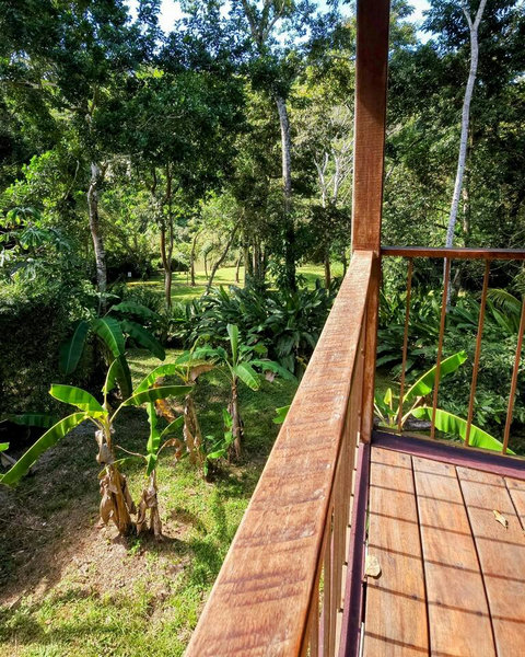 View from the deck.