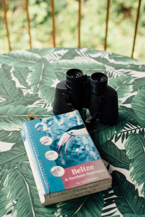 Binoculars & wildlife book provided to guests to catch site of Belize wildlife from the Banana Bungalow deck.