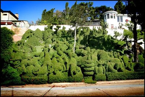 Be sure to check out the famous Harper's Topiary Garden House just two doors down!