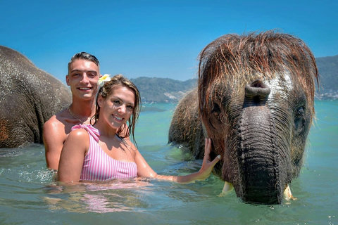 Elephant Bathing on a secret beach 20mn from our Villa