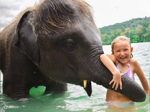 unforgettable elephant bathing experience at Paradise Beach