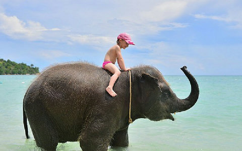 unforgettable elephant bathing experience at Paradise Beach