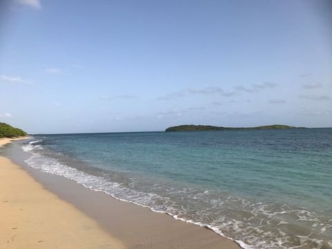 Smugglers Cove 