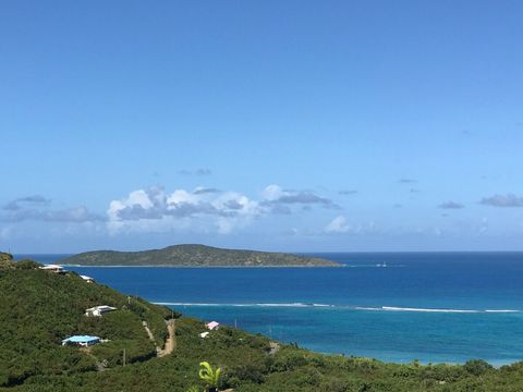 View to Buck Island Reef