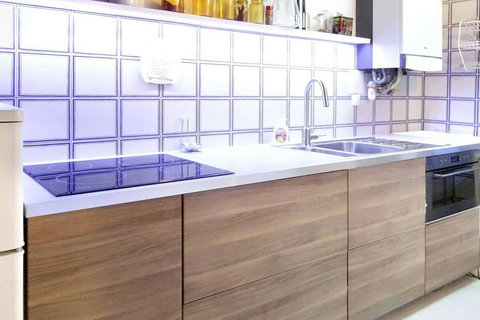 kitchen with microwave and ventilated oven, induction stove, tap with handshower, fridge, dishwasher, washing machine