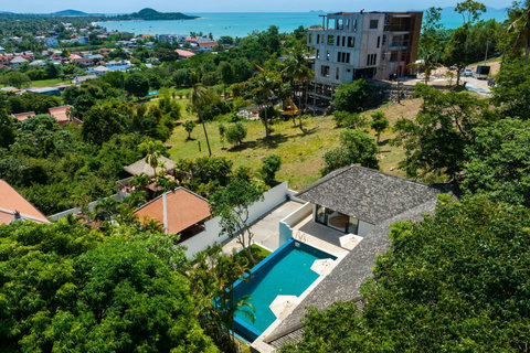 Aerial view of the villa with private pool and tropical gardens
