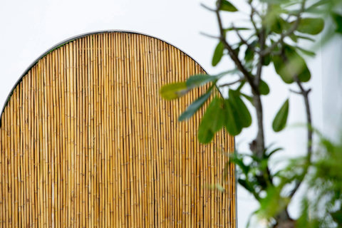 Artistic archway entrance with tropical plants at C Villa art villa, Koh Samui Thailand