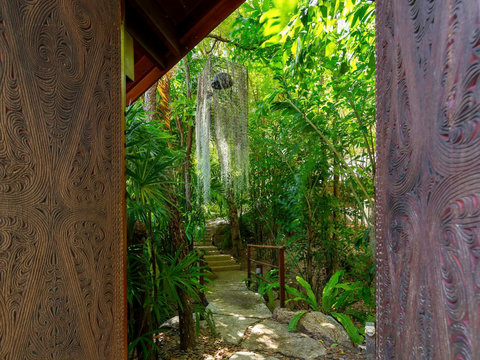 Tropical jungle pathway through lush greenery - Villa Soluna natural surroundings 5-bedroom luxury hillside retreat southern Koh Samui