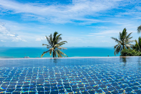 Sparkling infinity-edge pool with uninterrupted ocean and palm views.