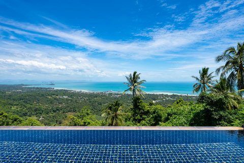 Infinity-edge pool blending seamlessly with the horizon and tropical hillside
