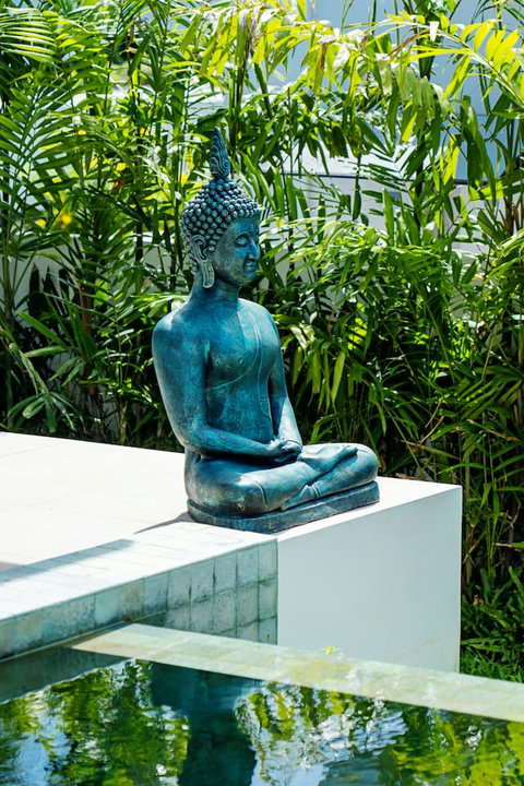 Serene Buddha statue set among lush tropical garden greenery