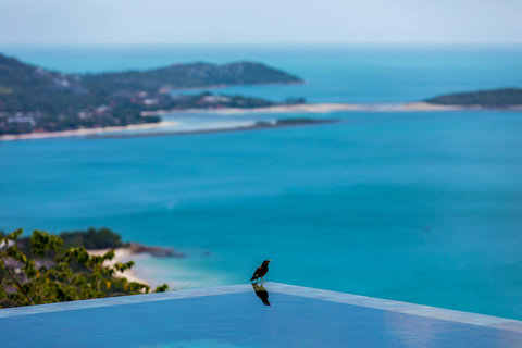 Stunning Infinity Pool Overlooking the Ocean - Villa Love Koh Samui Holiday Home