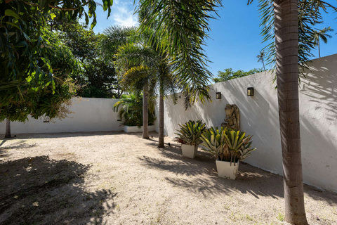 Sunny outdoor terrace with tropical plants