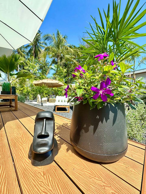 Tropical flowers and pool deck planters at Villa Amala 3BR pool villa Koh Samui.