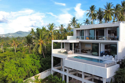 Stylish contemporary villa exterior nestled among coconut palms and tropical surroundings.