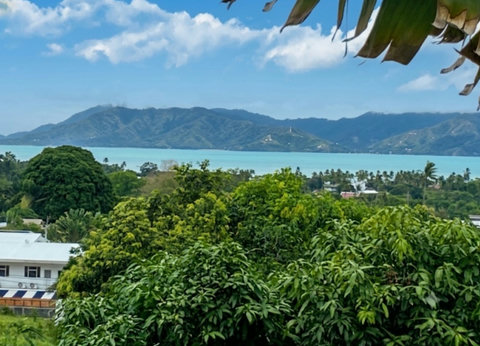 a glimpse of the sea in the distance ,enjoyed from the living room