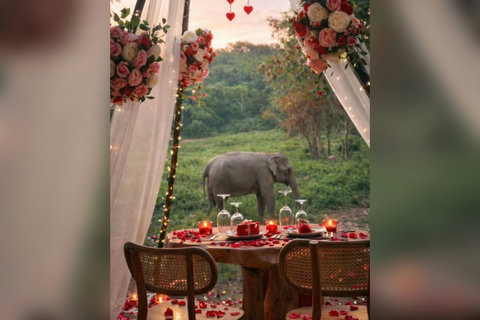 _Elephant_Dining_