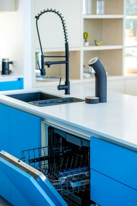 Dishwasher and filtered water tap