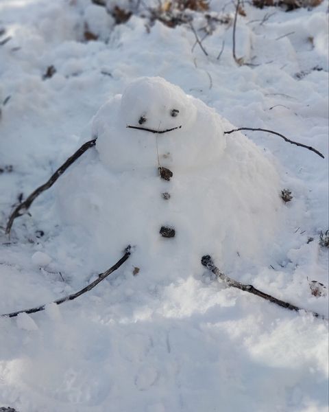 Our first snowman built right outside the cabin after our first snowfall experience.