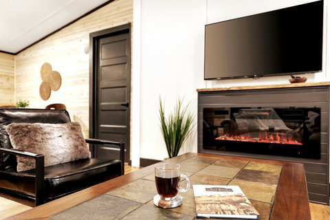 Cozy electric fireplace and smart TV for quiet nights after exploring Blue Ridge.