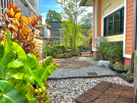 สวนของบ้าน