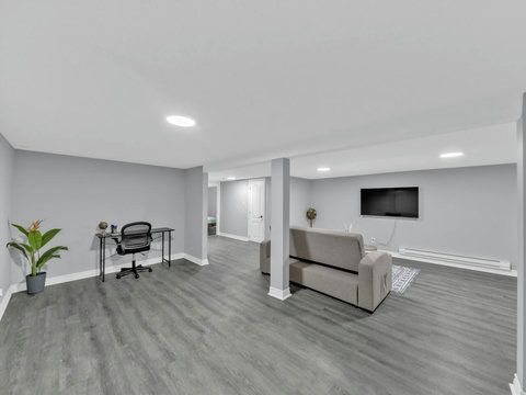 Basement TV area with Sofa Bed