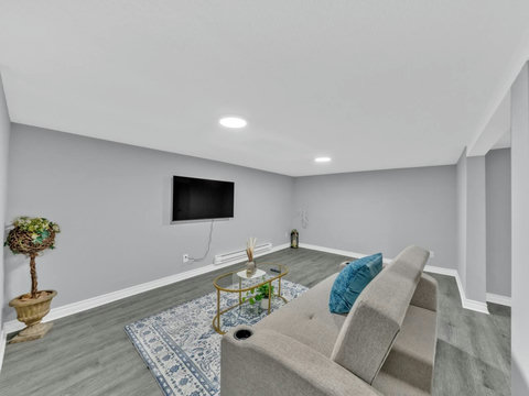 Basement TV area with Sofa Bed