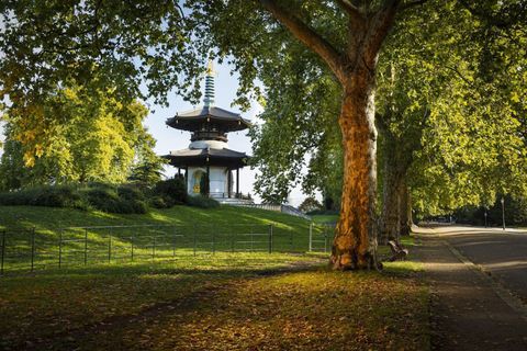 Battersea Park (15-minute walk)