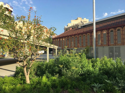 EXTERIOR MERCADO DE SANT ANTONI