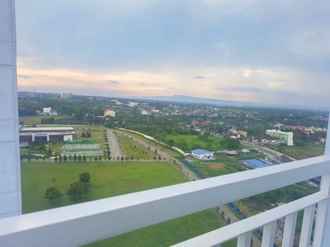 Garden view from balcony