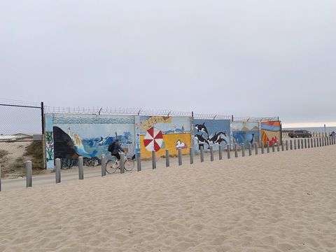 Walk/bike to a row of amazing murals, and explore the remains of the ocean liner wreck La Jenelle after. 