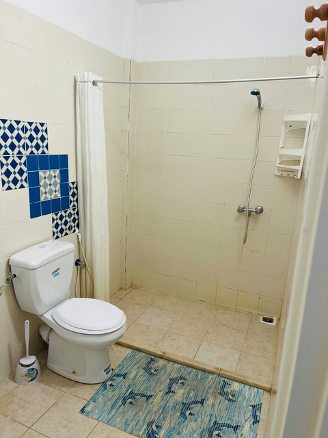 Salle d’eau moderne avec douche à l’italienne, serviettes propres et sèche-cheveux. Espace lumineux et fonctionnel pour un confort optimal.