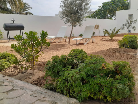 Terrasse ensoleillée et grand jardin avec coin détente et barbecue. Parfait pour lire, échanger ou admirer le coucher de soleil.