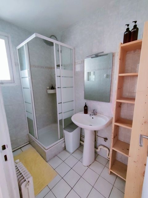 Compact Bathroom: Shower, Amenities