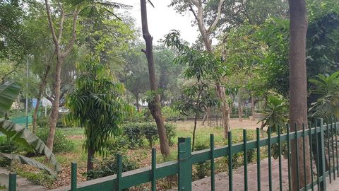 Lush green balcony view from the apartment 
