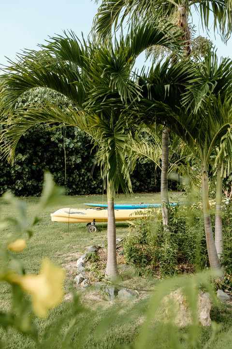 Kayaks and Paddleboards