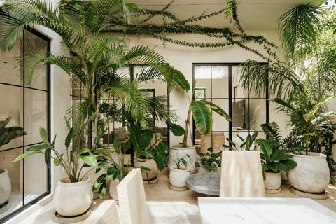 Courtyard dining area surrounded by lush greenery